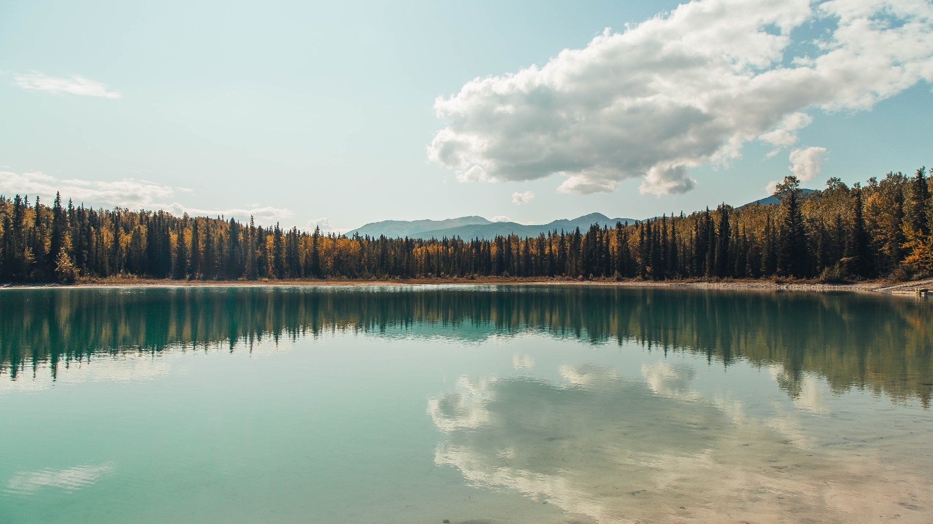 _魔术逆袭作战,彻底打破不利局面_,魔术秘诀视频