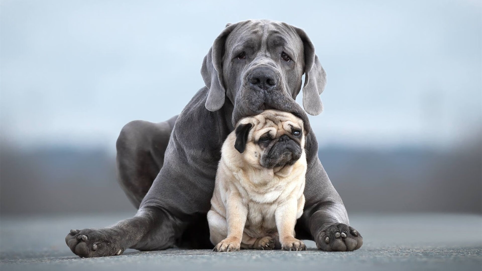 开云官网APP下载-意甲系列战不断推陈出新，球员表现精彩纷呈，意甲阵容