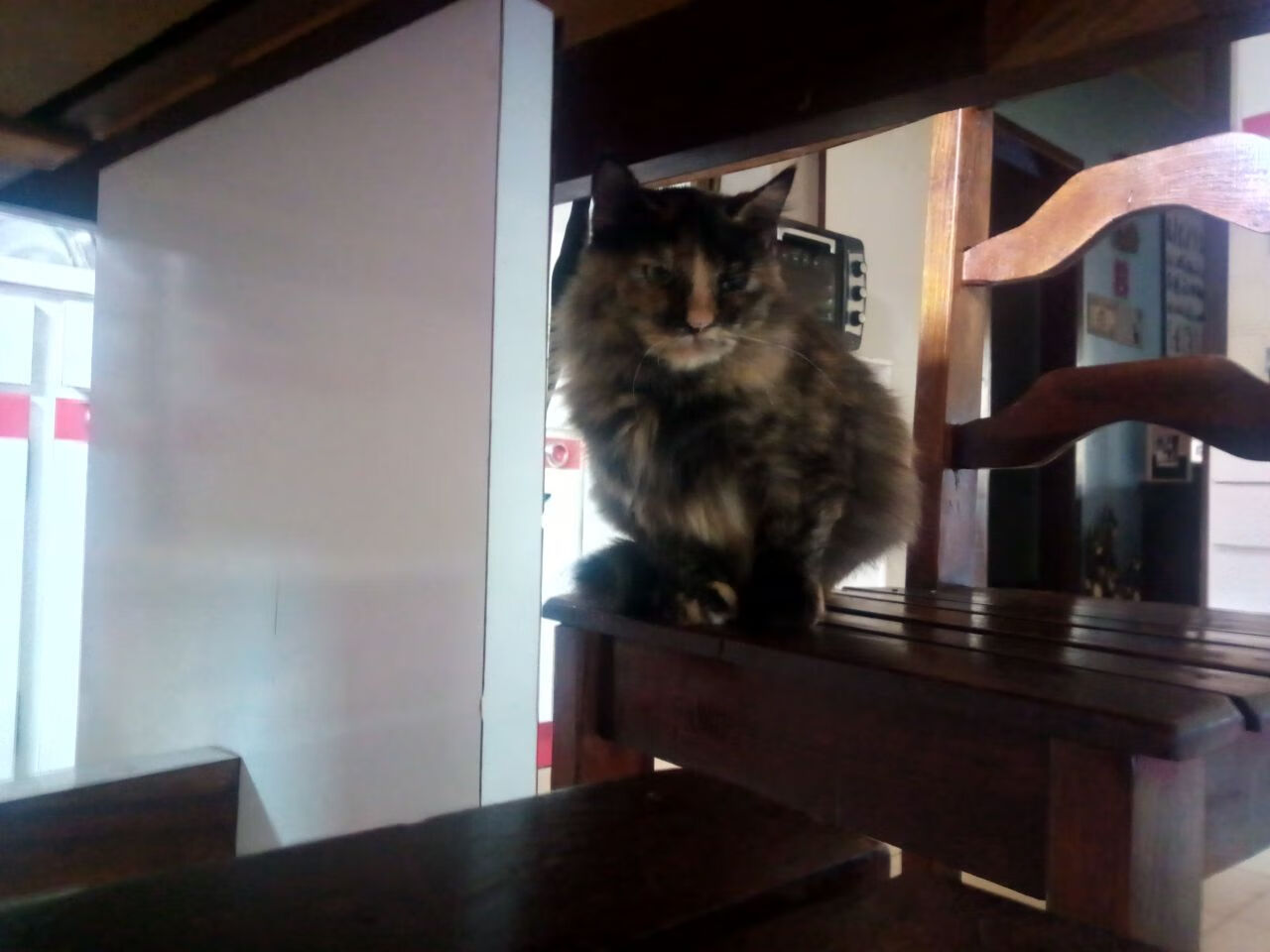 成都蓉城外援进球助球队逆转取胜,成都蓉城外援什么时候归队