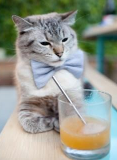 开云官方网页登录-精英阵容：世界排名前十名选手名单公布，世界精英战队