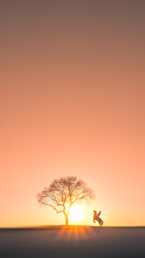 宿迁农商行进攻火力强劲,多面手表现稳定,宿迁农商银行