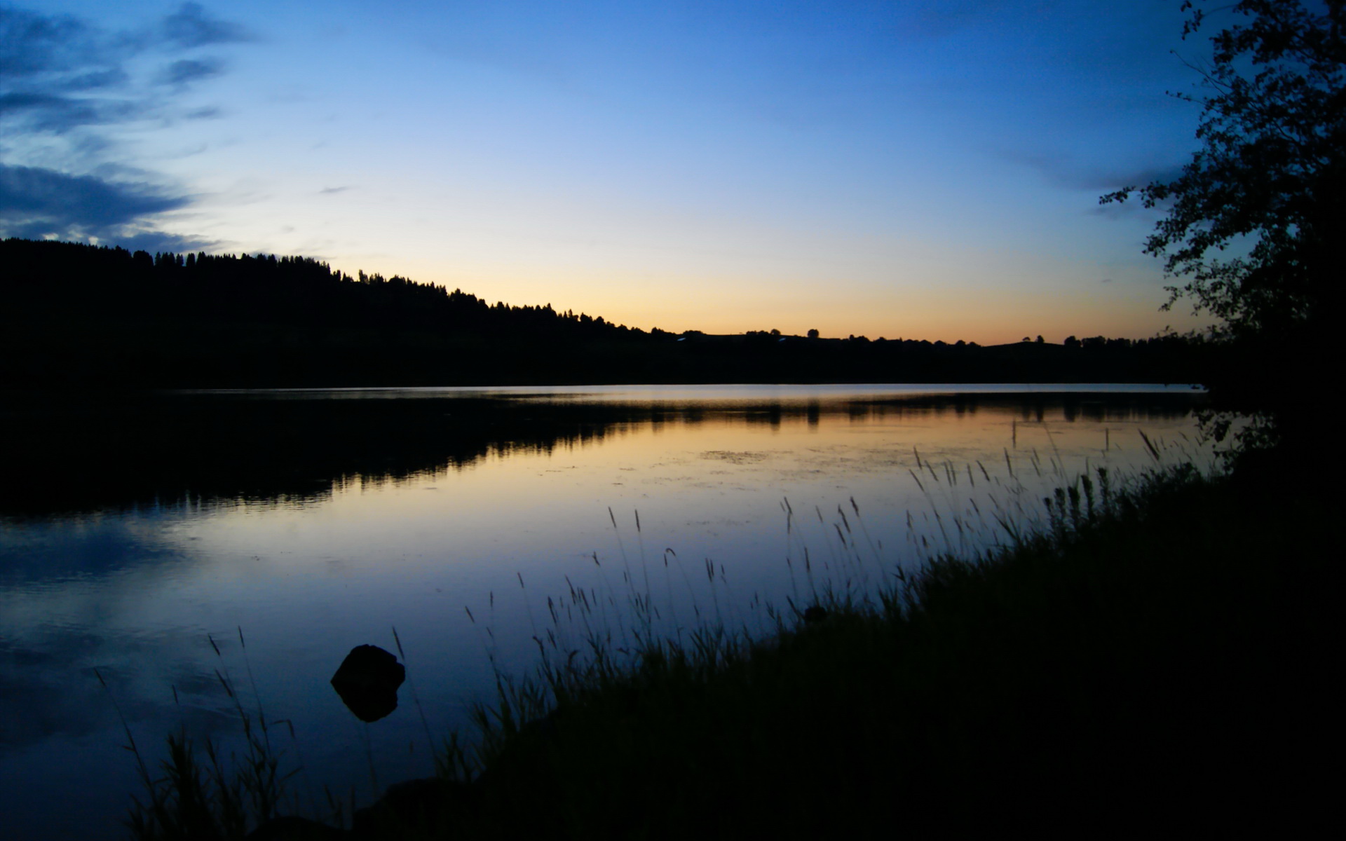 比赛中球员们拼尽全力,为球队赢得胜利,这场球赛的胜败关键是队员们的齐心协力