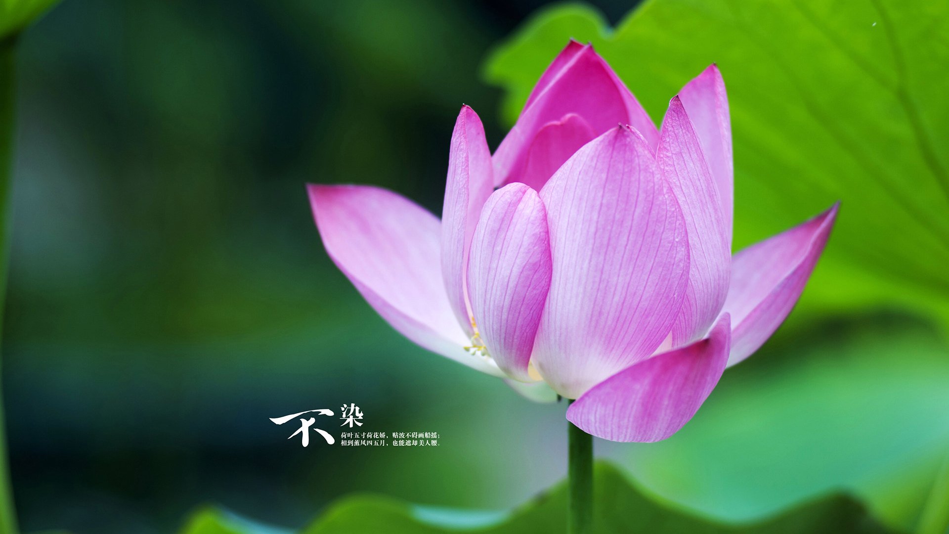 开云官网APP下载-电竞职业选手身体康复训练与营养指导的结合应用，电竞选手锻炼身体