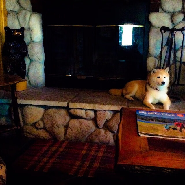 雄鹿内线战术赢得赞誉,球队势不可挡,雄鹿战术分析