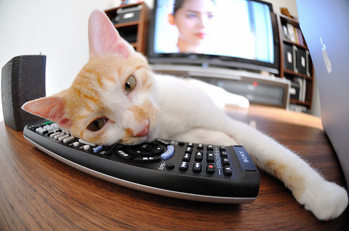 Kaiyun(中国)开云-骑士队核心球员状态回暖，骑士队的主力