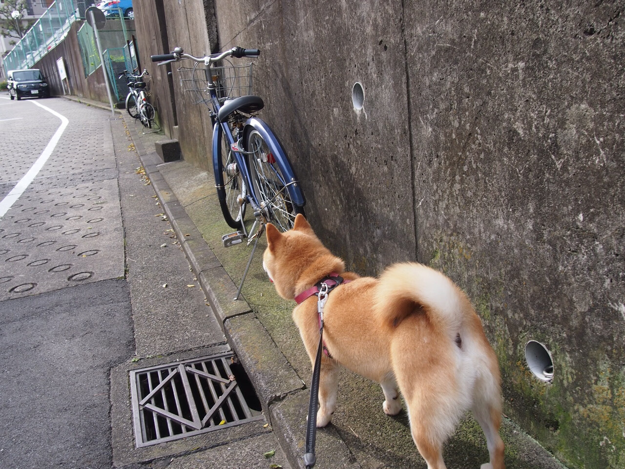 拦截型前腰成为压迫关键点,拦腰截断是什么意思