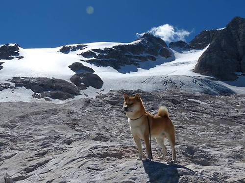 校园篮球联赛结构是否具备可持续发展逻辑,校园篮球班级联赛