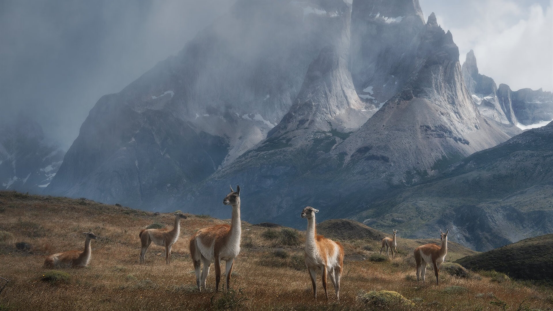 英橄协与大学共建运动科学中心，美国英式橄榄球大联盟