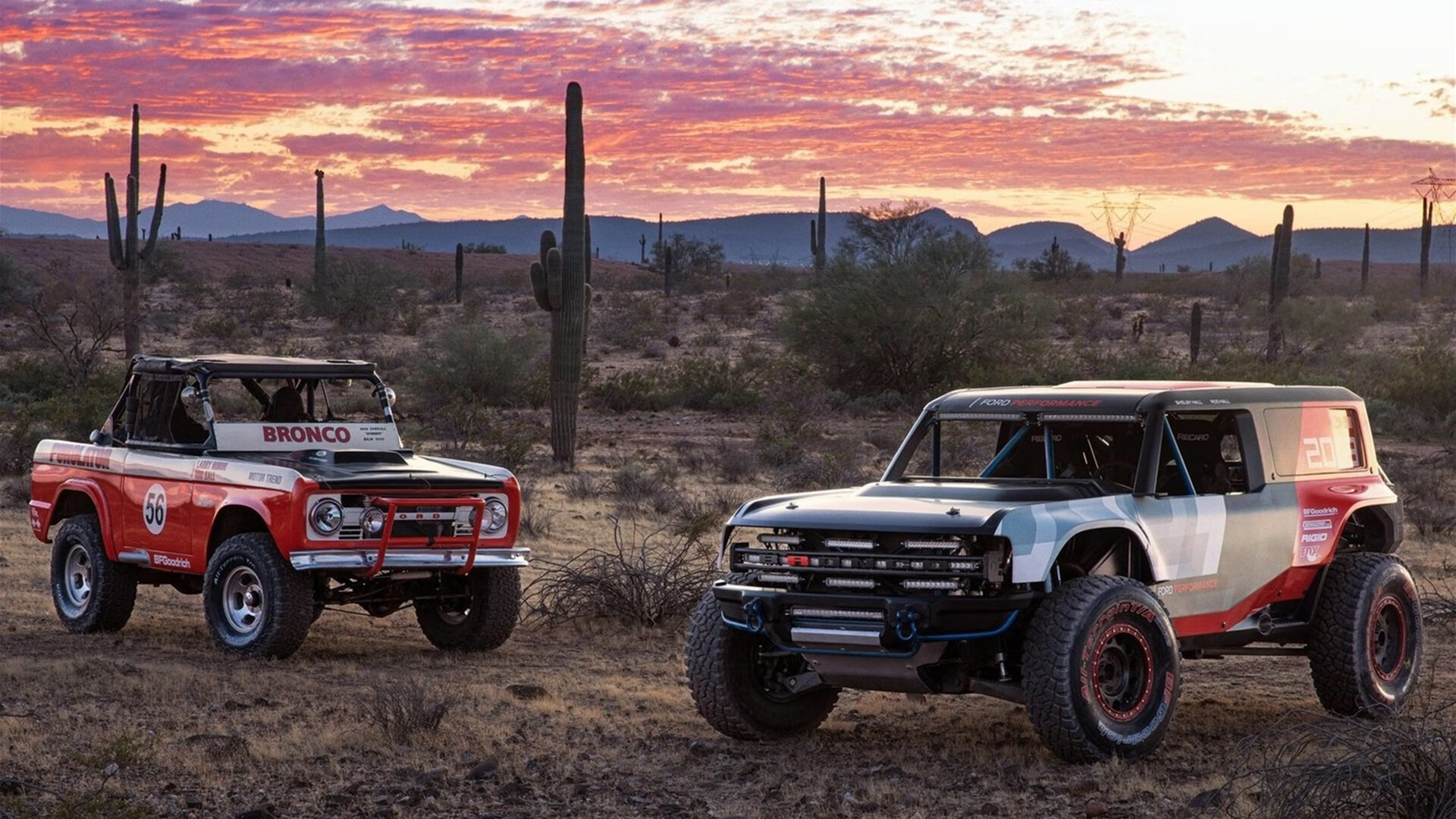 KAIYUNAPP-退役球员转型教练助力基层篮球人才培养和项目推广，篮球队员退役