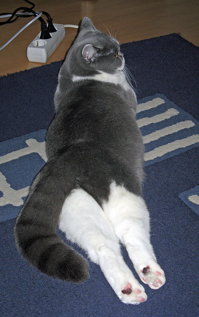 雷霆球员通过视频平台分享训练日常获好评，雷霆球员2020